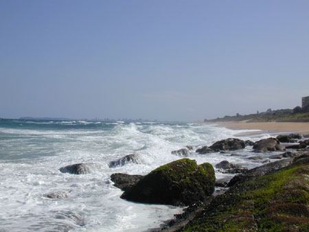durban city in the background 11-11-02
